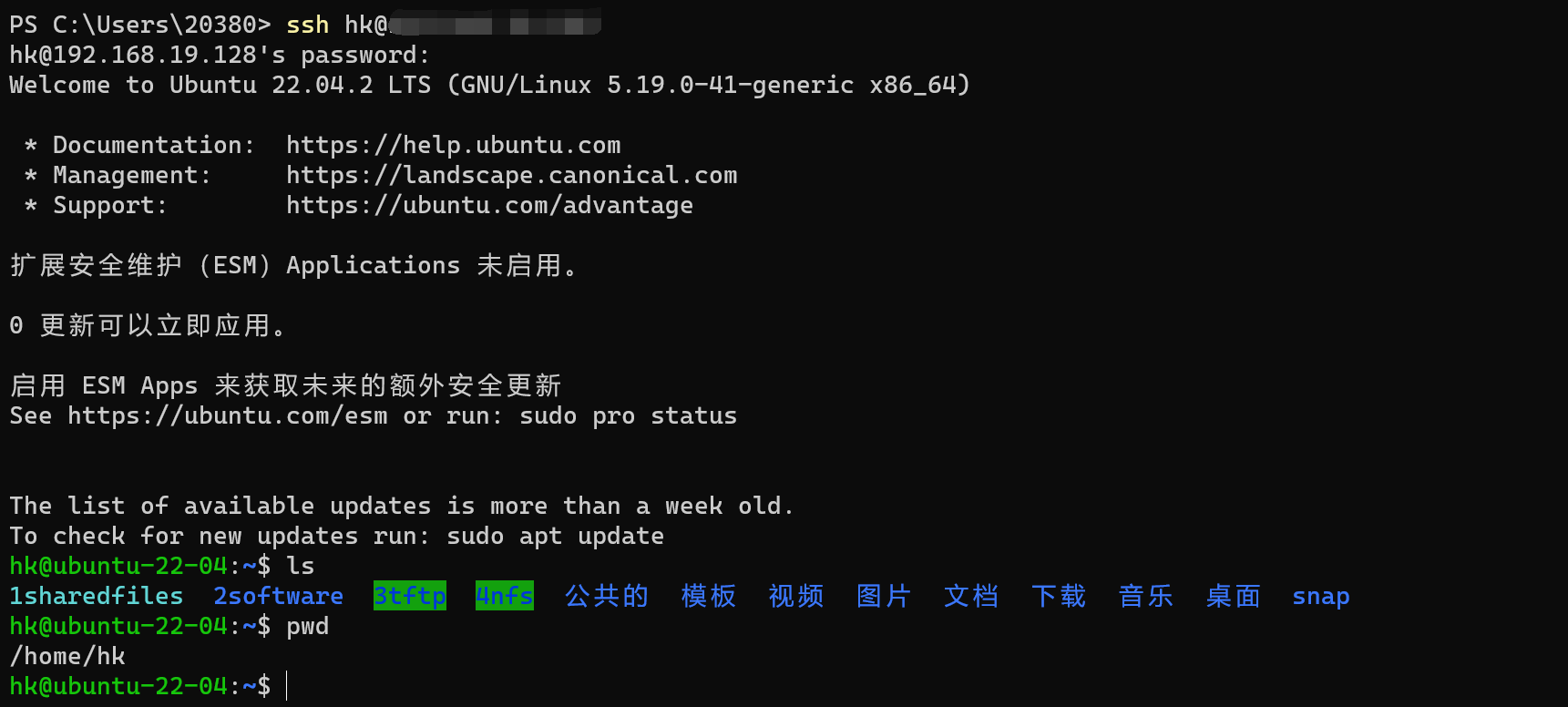 image-20230622075604500