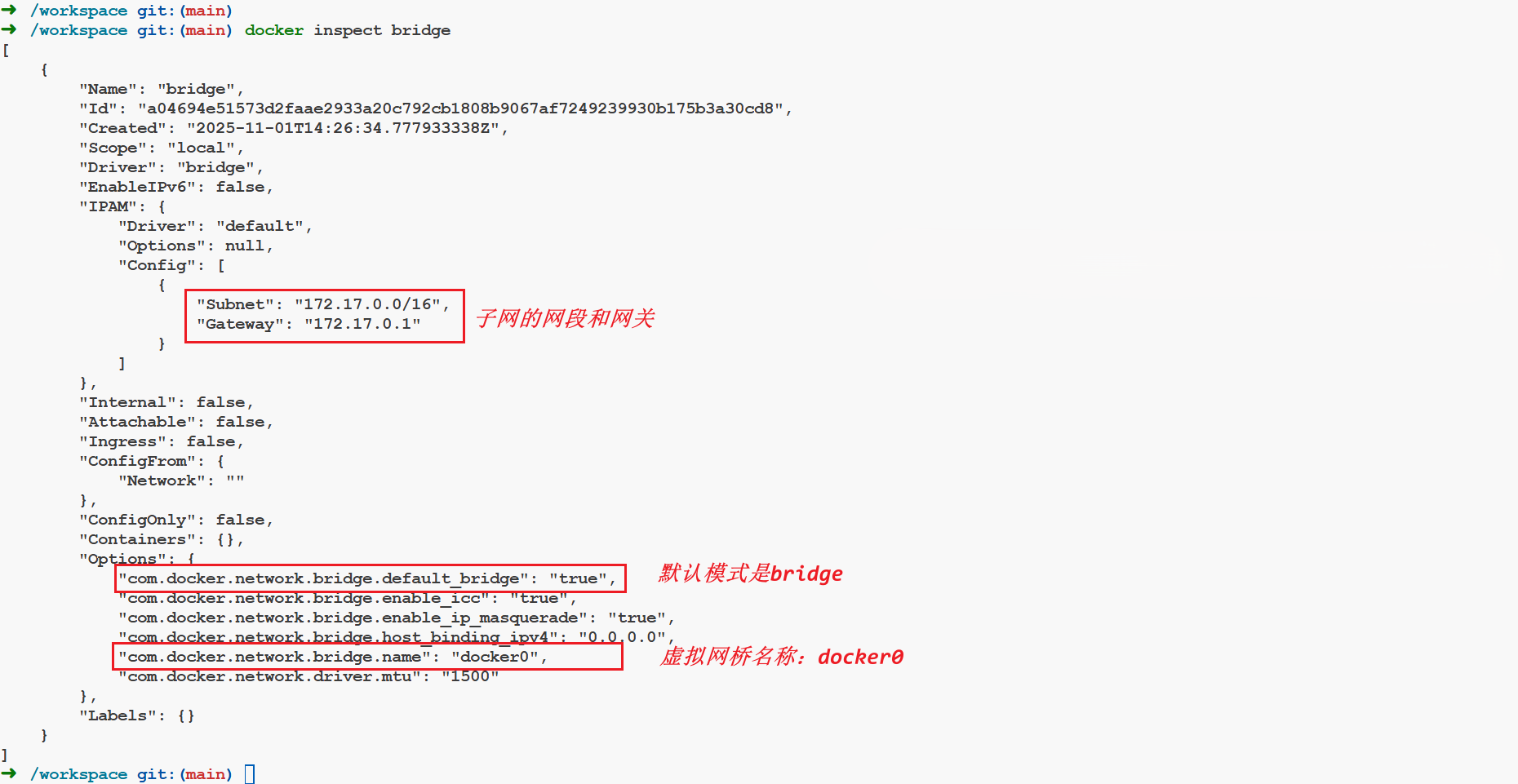 image-20251101232144162