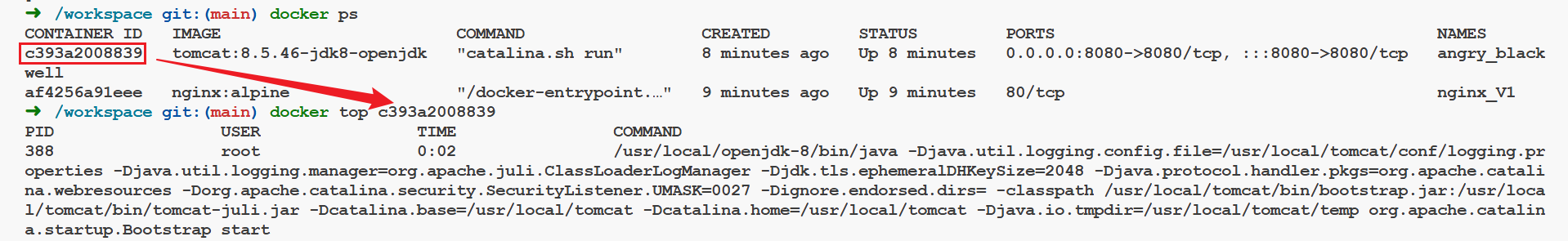 image-20251102194000753